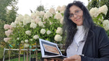 Autorin Madella-Mella liest aus dem Buch Die Segnung