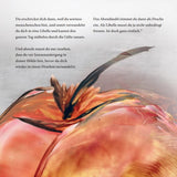 Leseprobe des Buches „Die kleine Libelle“ Text und Illustrationen by Madella-Mella Ursula